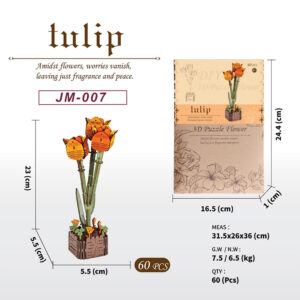 郁金香 Tulipani