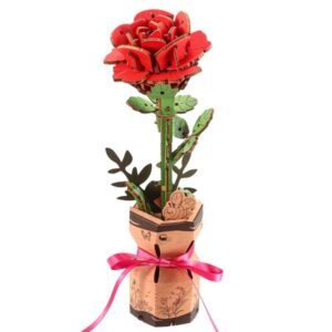 玫瑰花Rose