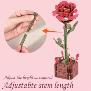 玫瑰花Rose